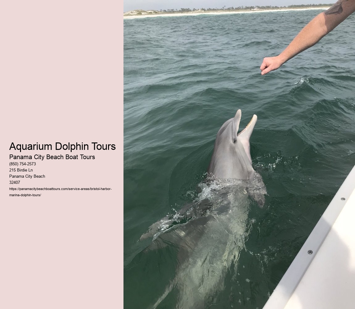 Aquarium Dolphin Tours