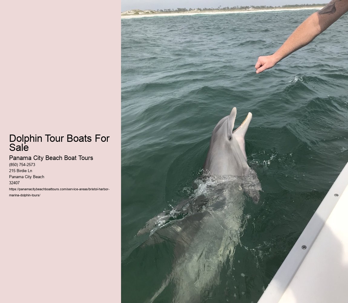 Dolphin Tour Boats For Sale