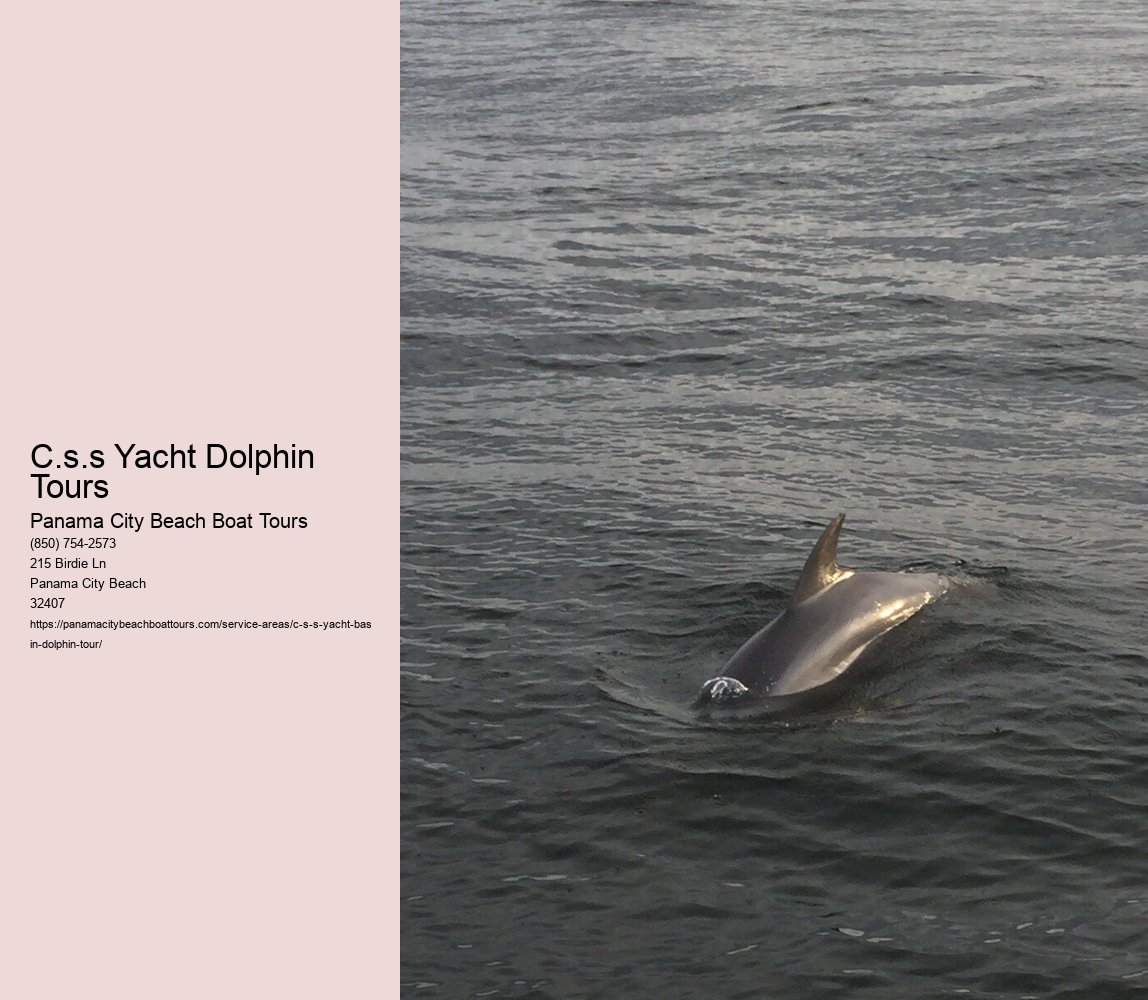 C.s.s Yacht Dolphin Tours