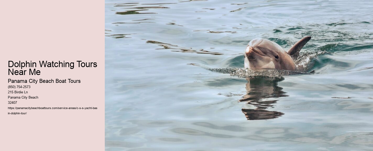 Dolphin Watching Tours Near Me