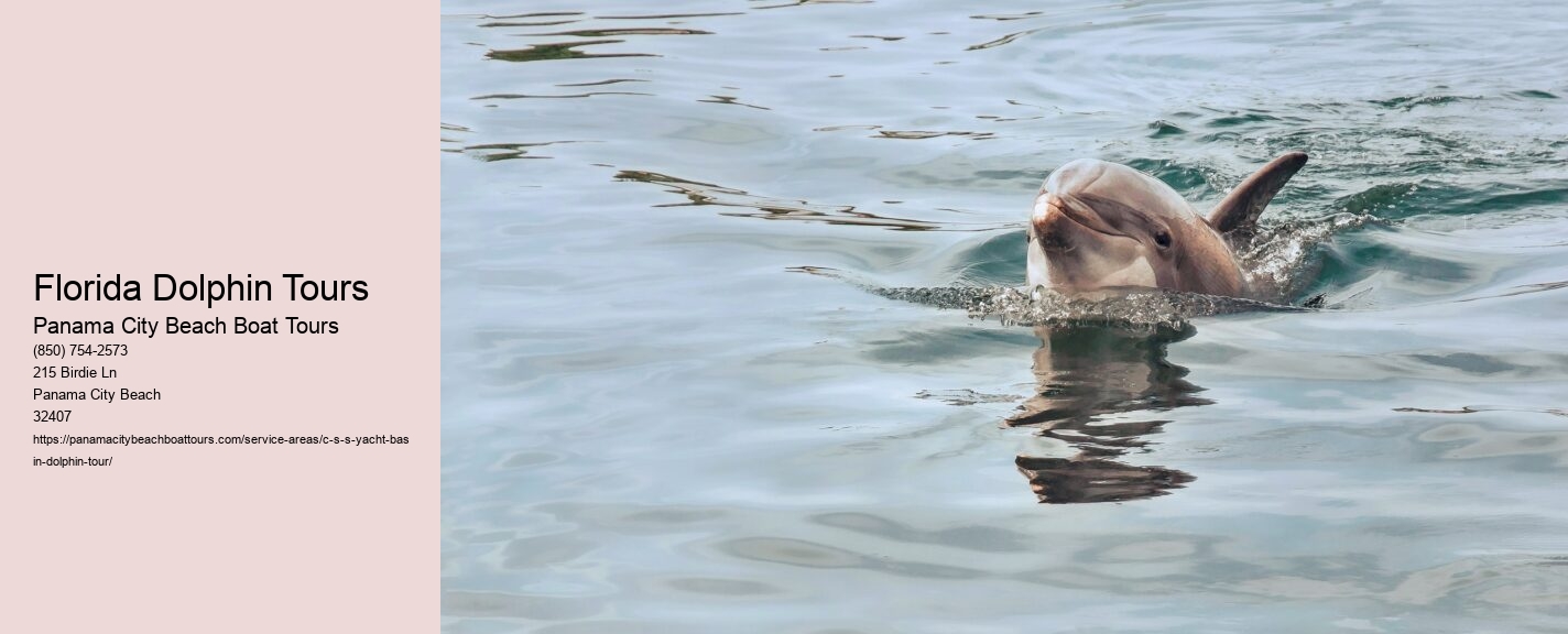 Florida Dolphin Tours