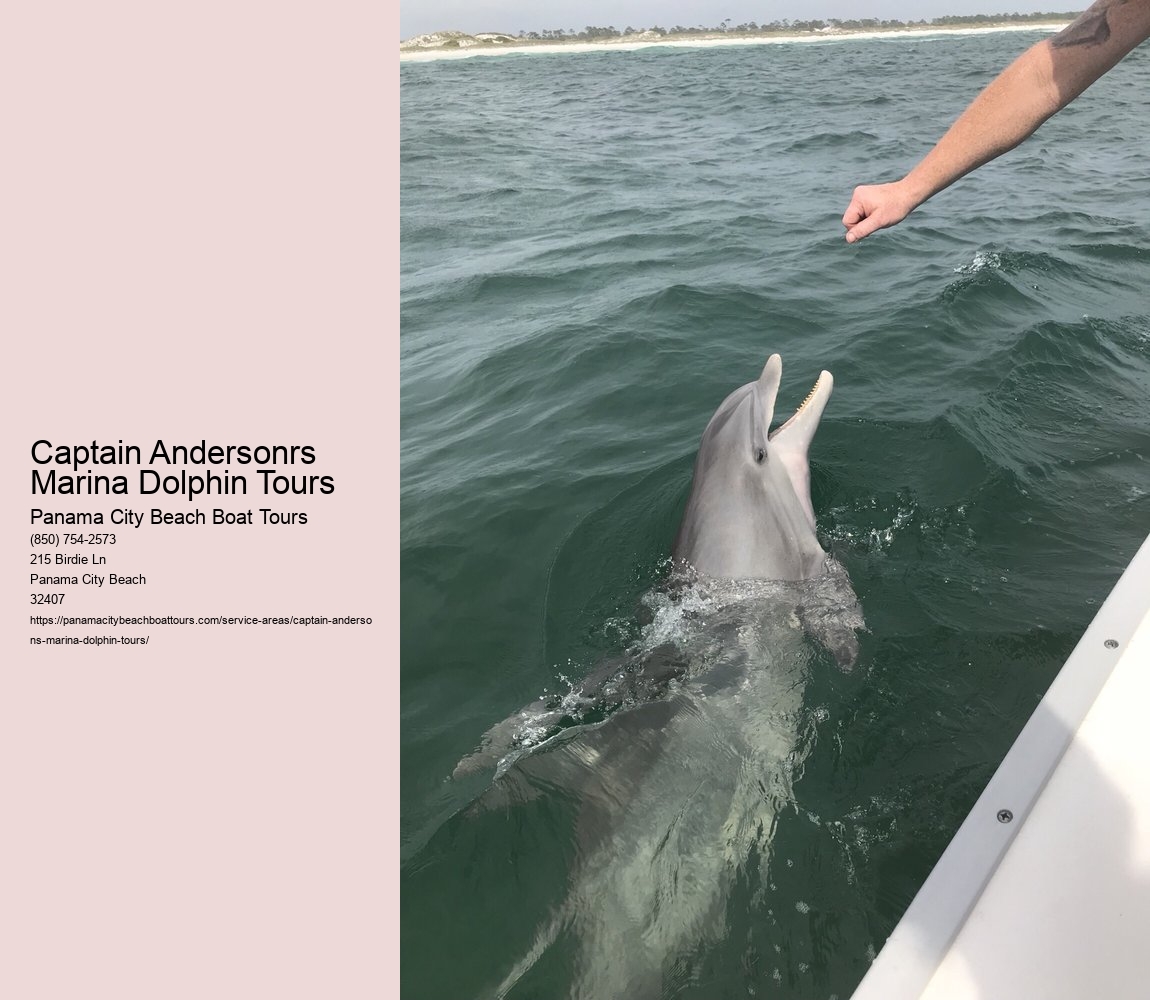 Captain Andersonrs Marina Dolphin Tours