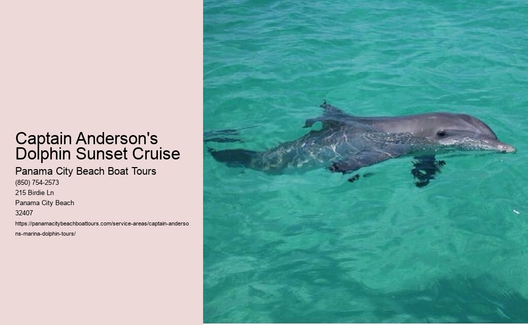Captain Anderson's Dolphin Sunset Cruise