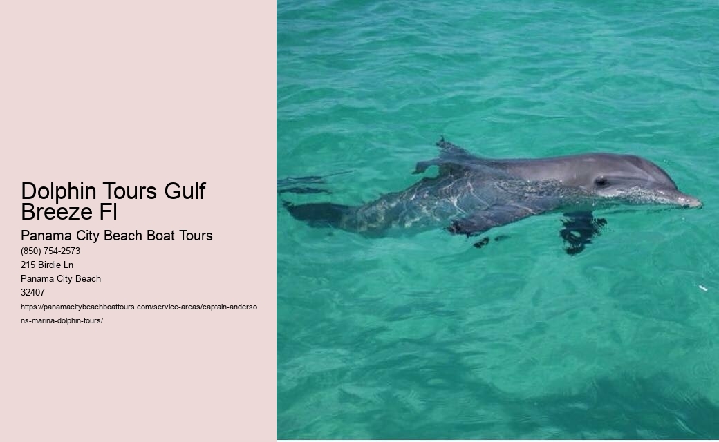 Dolphin Tours Gulf Breeze Fl