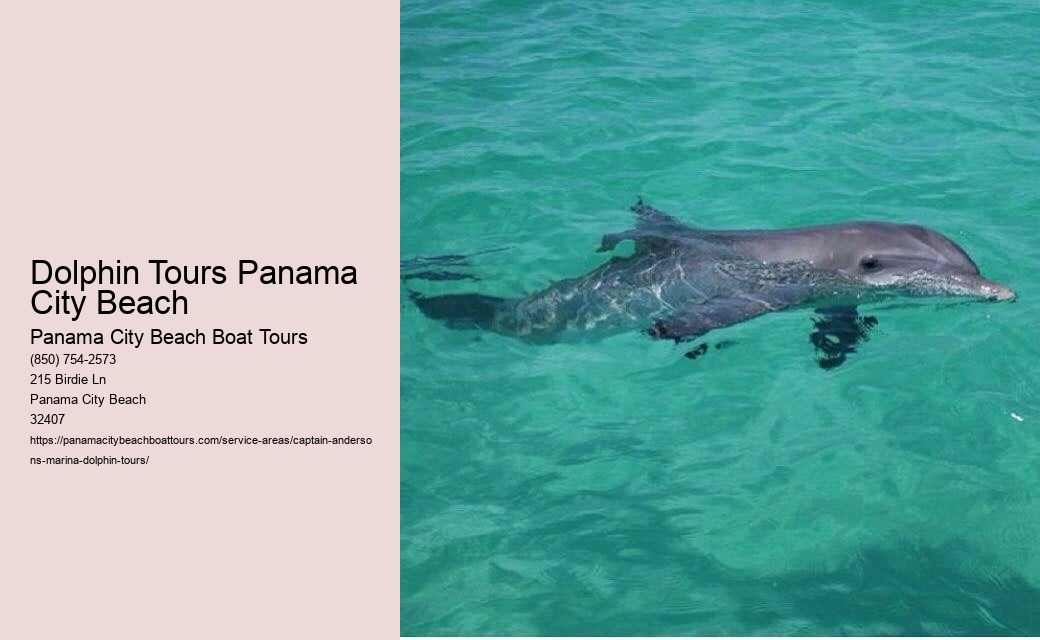 Dolphin Tours Panama City Beach