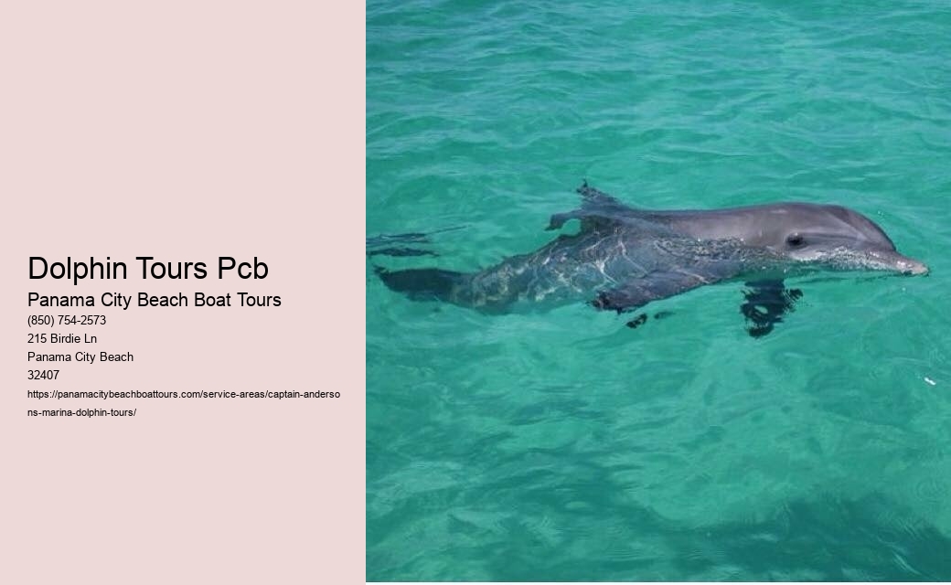 Dolphin Tours Pcb