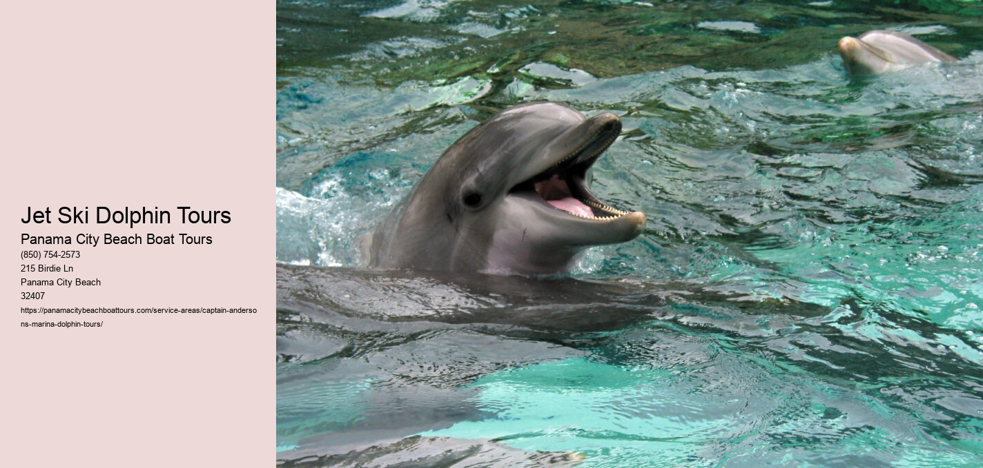 Jet Ski Dolphin Tours