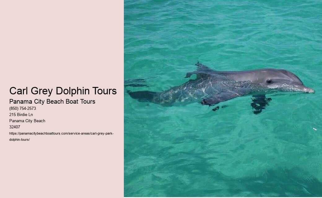 Carl Grey Dolphin Tours