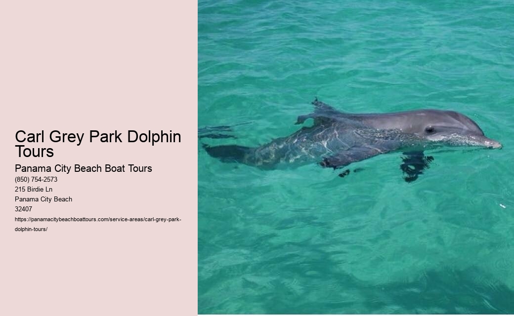 Carl Grey Park Dolphin Tours