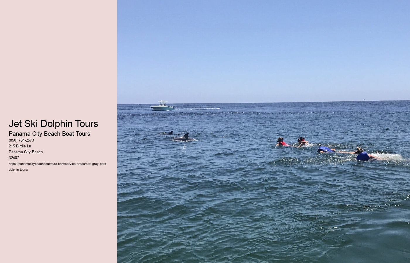 Jet Ski Dolphin Tours