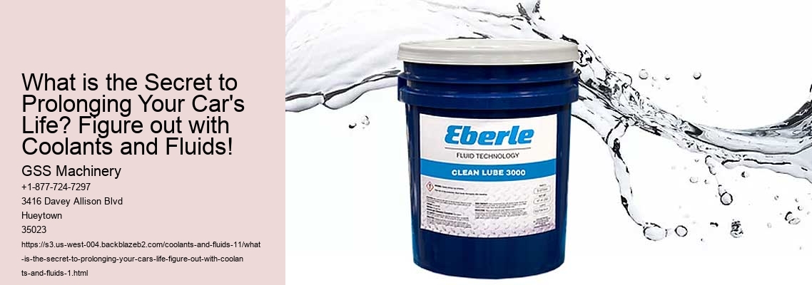 What is the Secret to Prolonging Your Car's Life? Figure out with Coolants and Fluids!