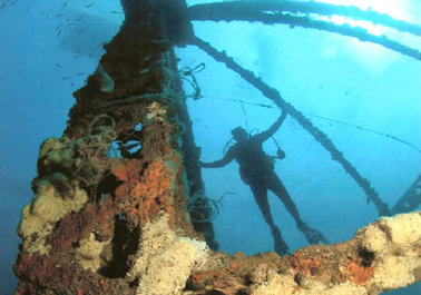 Do you need a wetsuit to snorkel in Florida