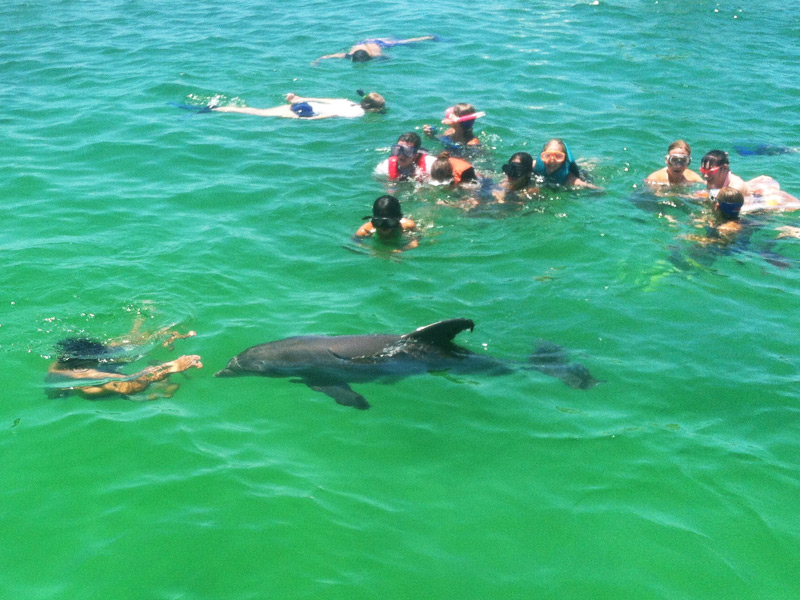 Scuba Diving tour Panama City Beach