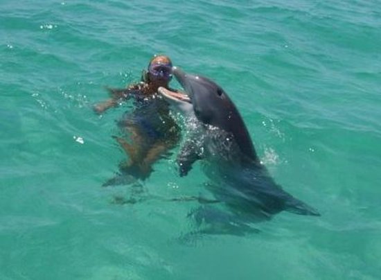 Best Snorkeling and Scuba Diving in Florida