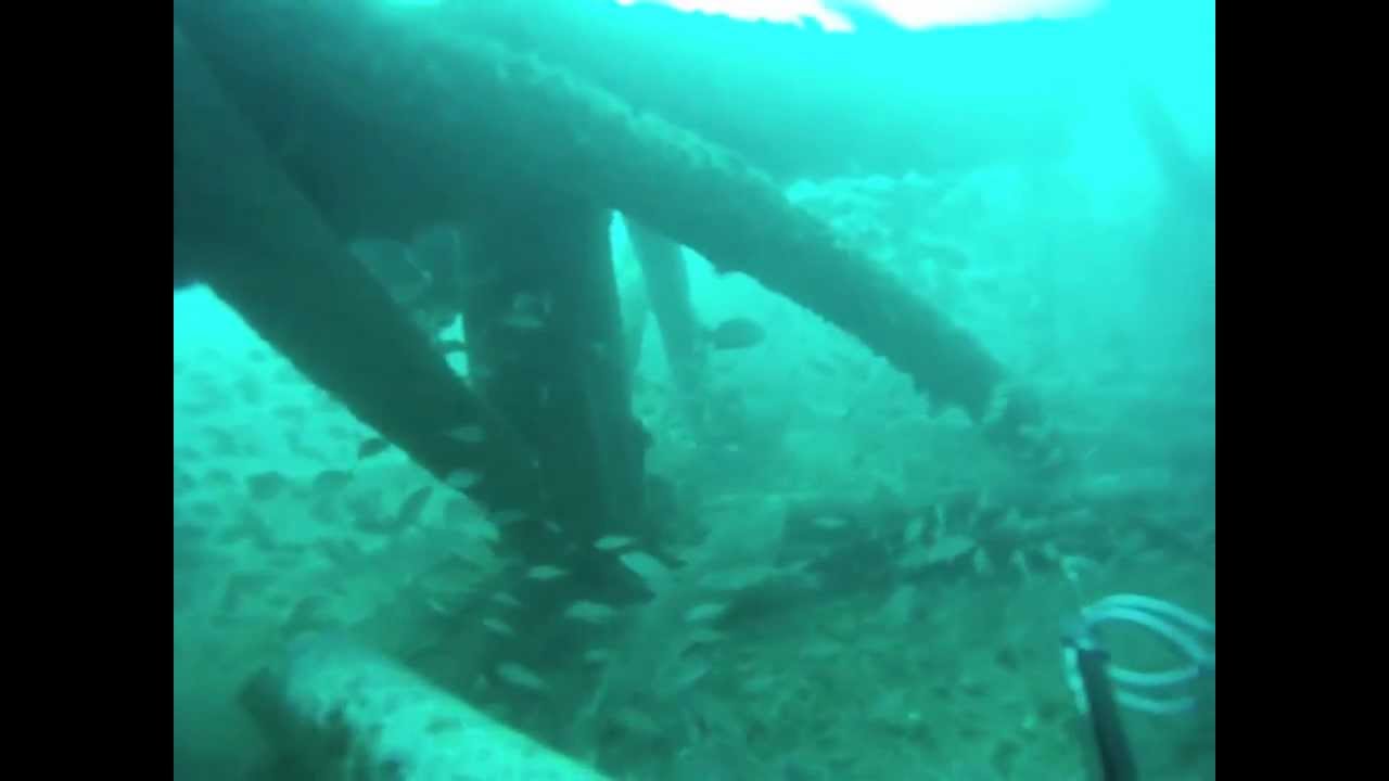How deep do first time scuba divers go