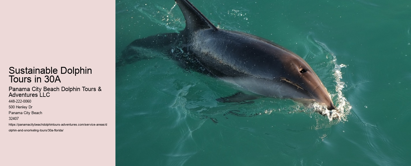Sustainable Dolphin Tours in 30A