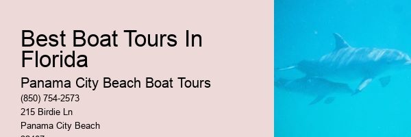 Best Boat Tours In Florida