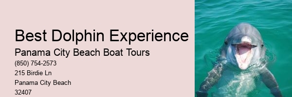 Best Dolphin Experience