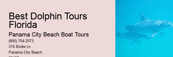 Best Dolphin Tours Florida