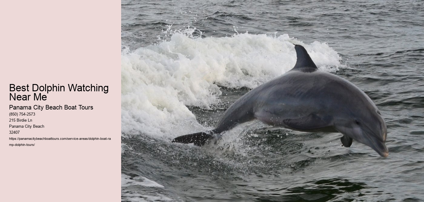 Best Dolphin Watching Near Me