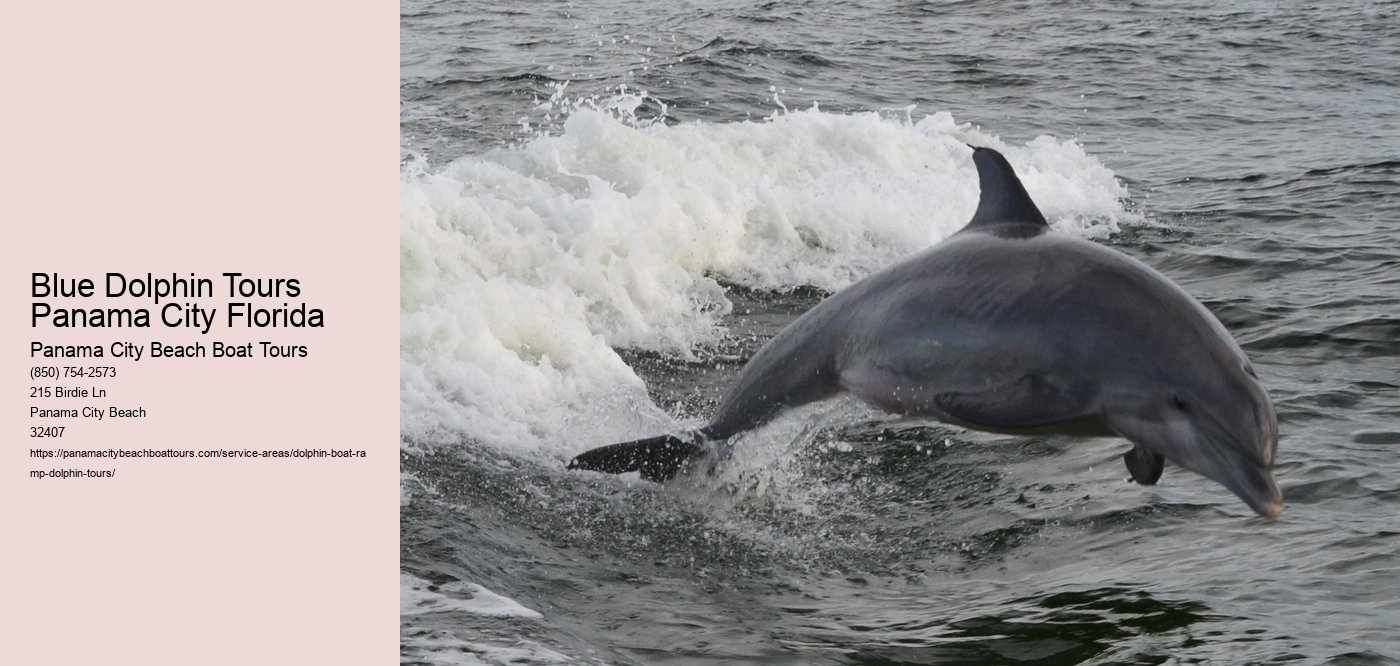 Blue Dolphin Tours Panama City Florida