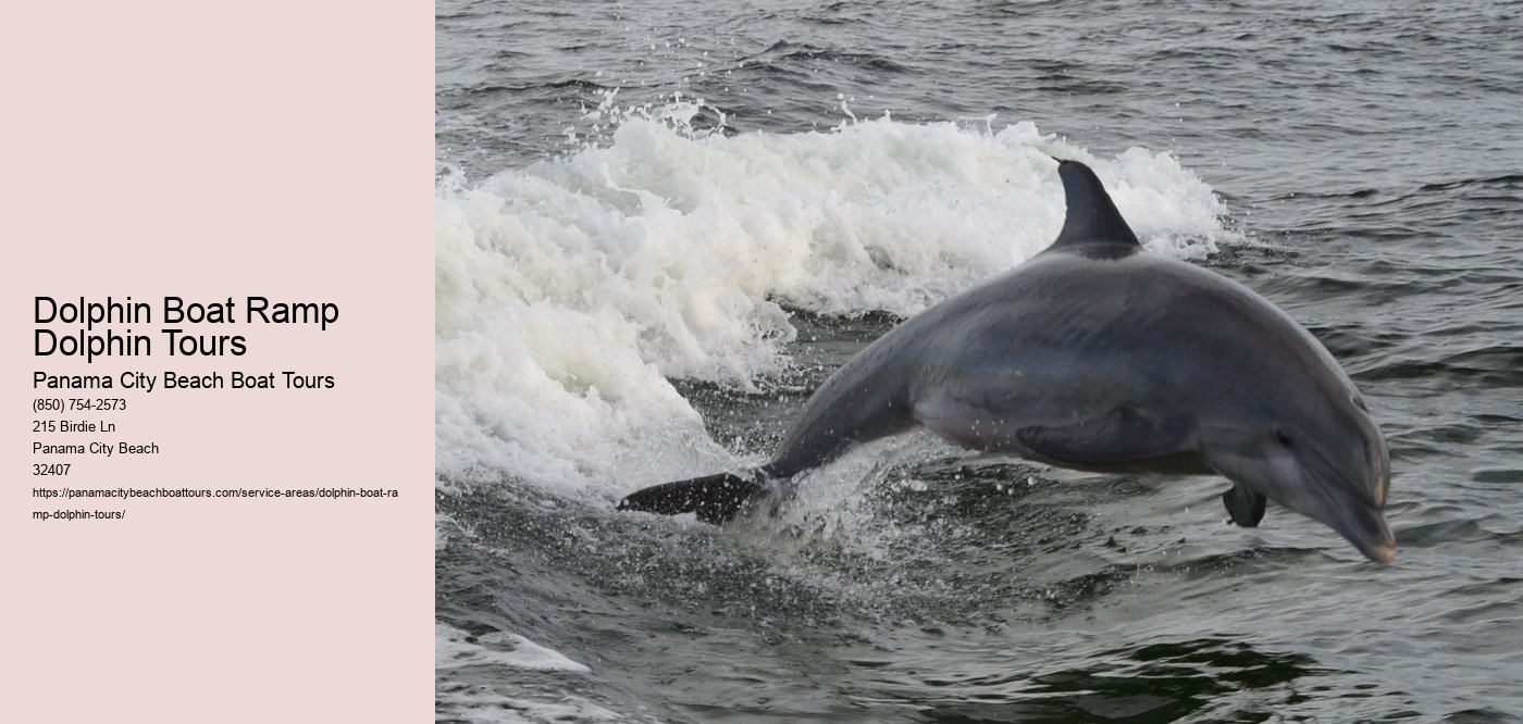 Dolphin Boat Ramp Dolphin Tours