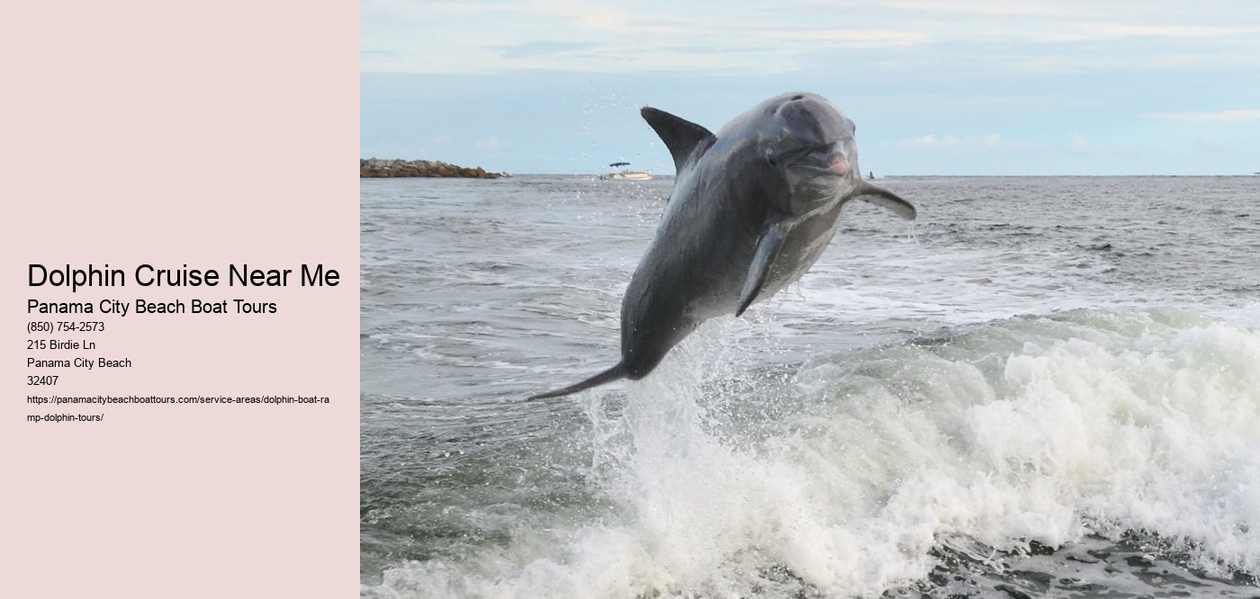 Dolphin Cruise Near Me
