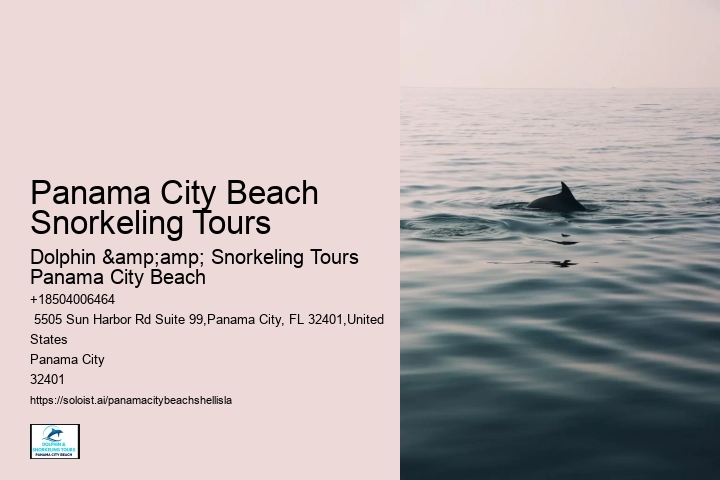 Panama City Beach Snorkeling Tours