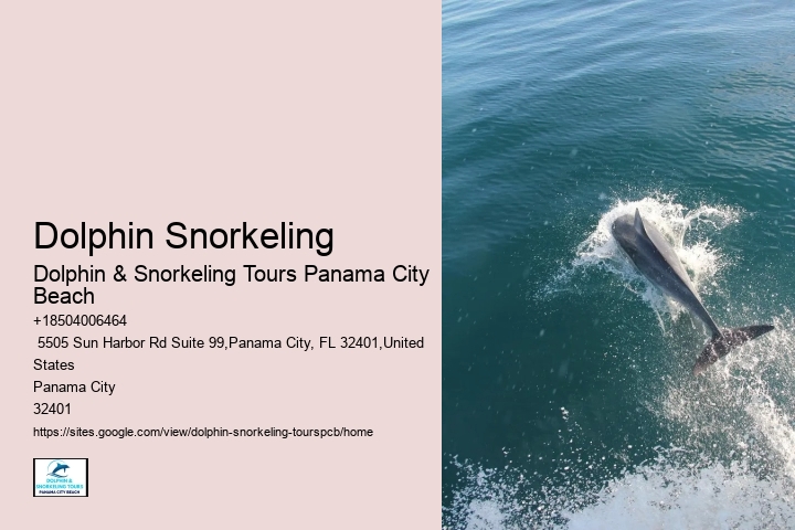 Dolphin Snorkeling