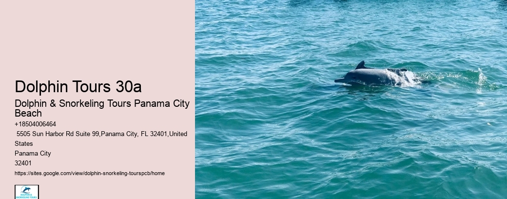Dolphin Tours 30a