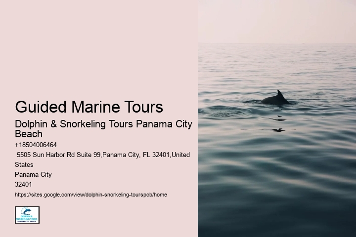 Guided Marine Tours