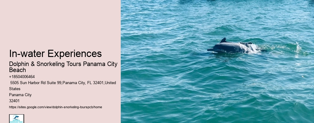In-water Experiences