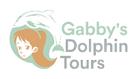 Private Dolphin And Snorkeling Tours Destin Fl