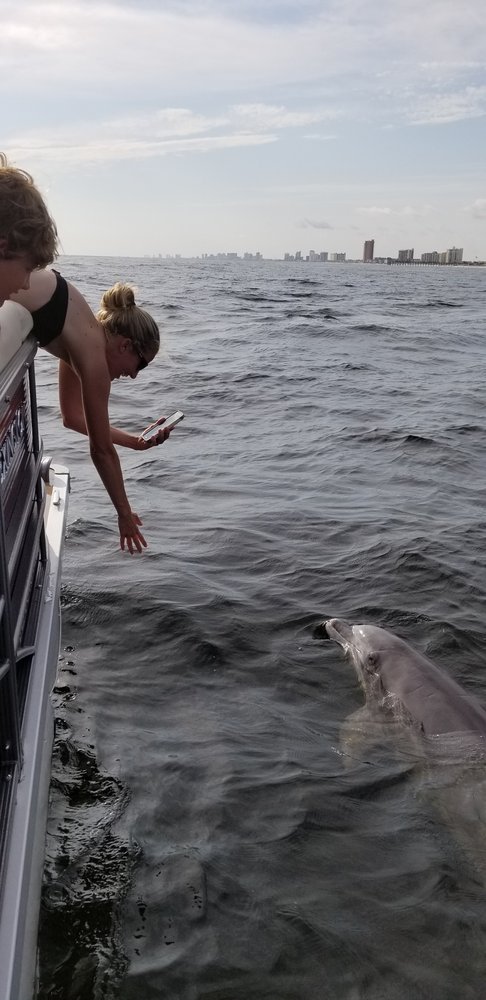 dolphin tours pcb fl