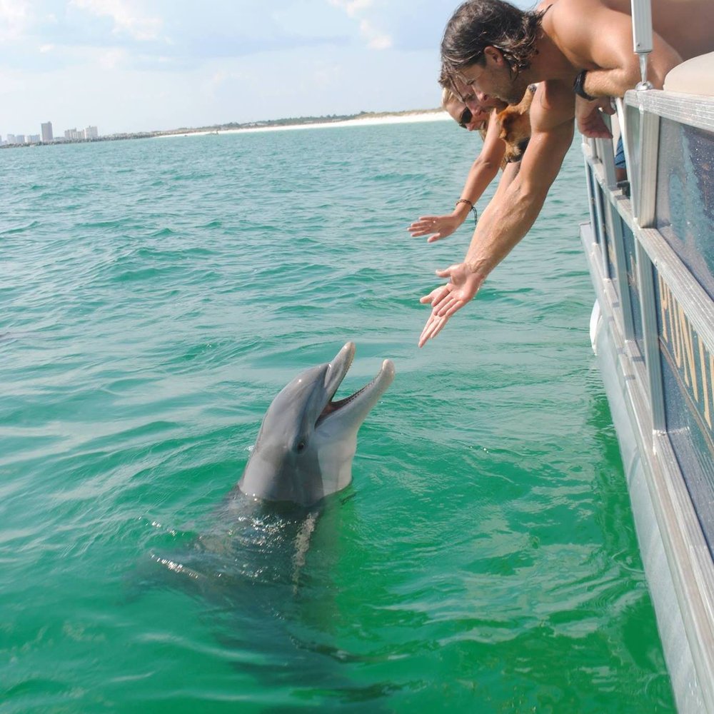 What beach in Florida has the most dolphins