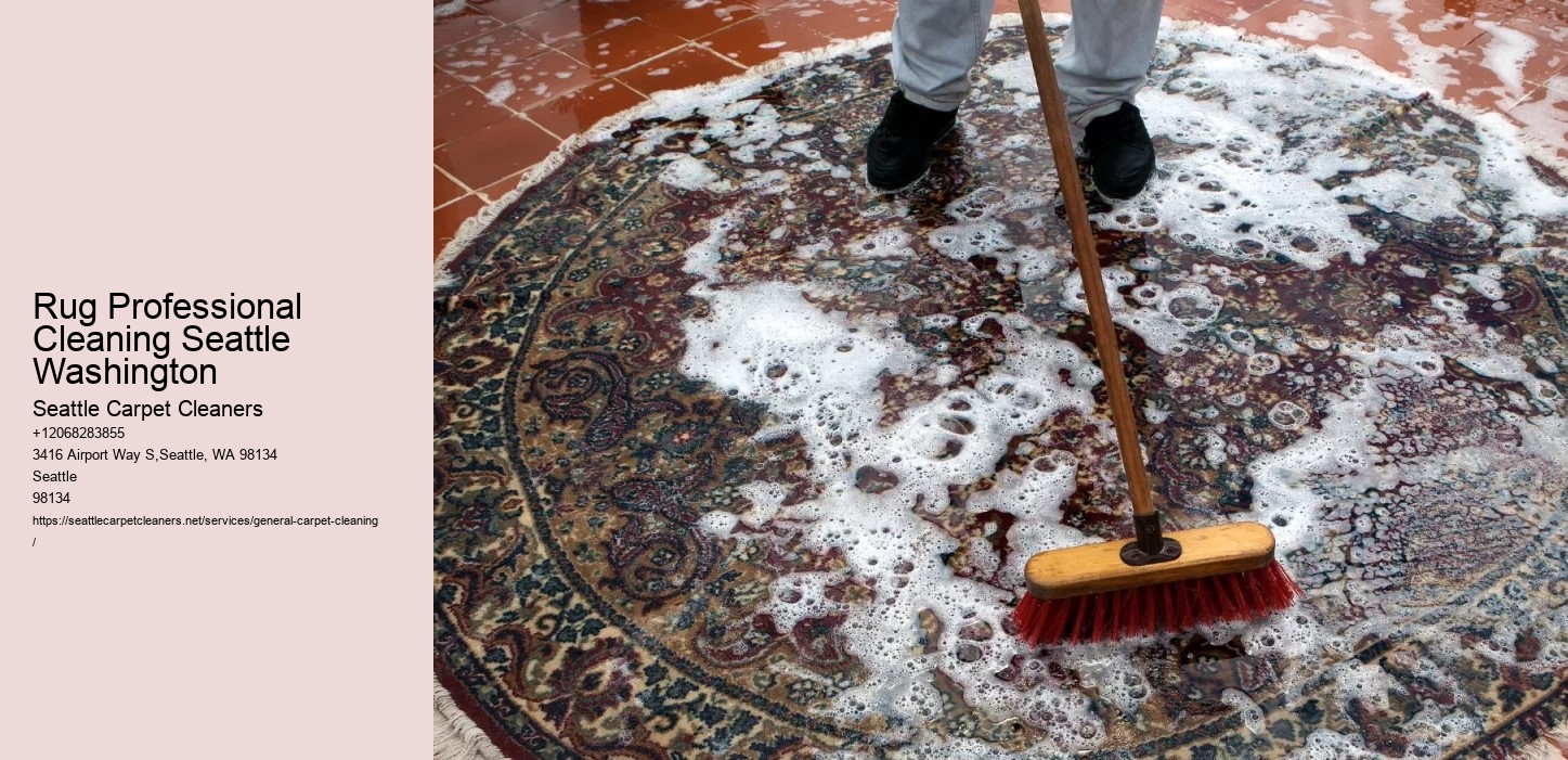 Rug Professional Cleaning Seattle Washington