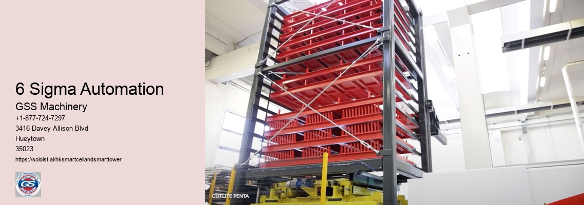 6 Sigma Automation