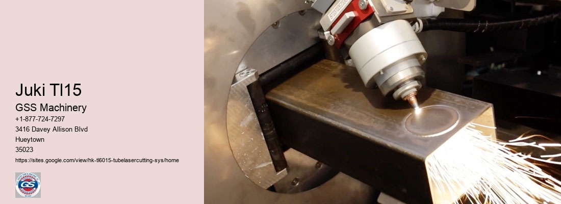 Juki Tl15