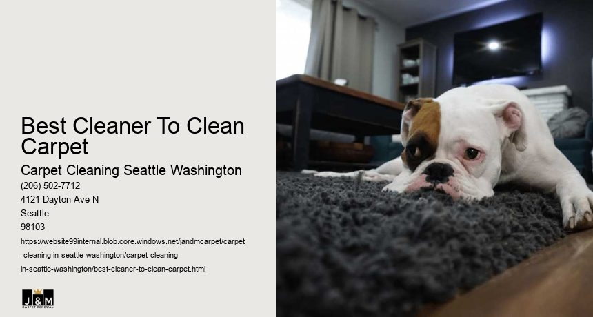 Best Cleaner To Clean Carpet