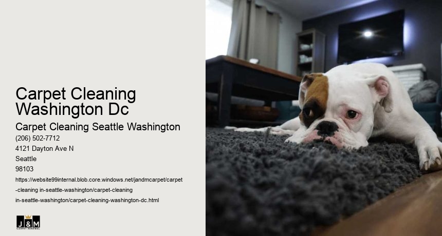 Carpet Cleaning Washington Dc