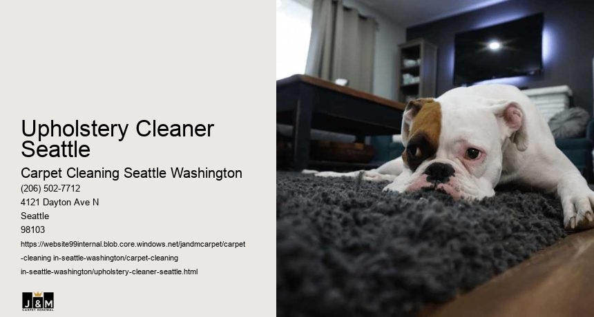 Upholstery Cleaner Seattle