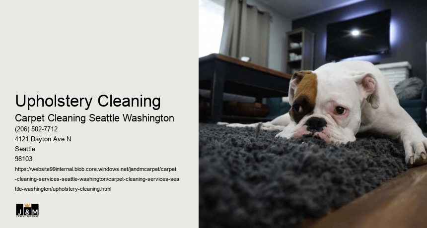 Upholstery Cleaning
