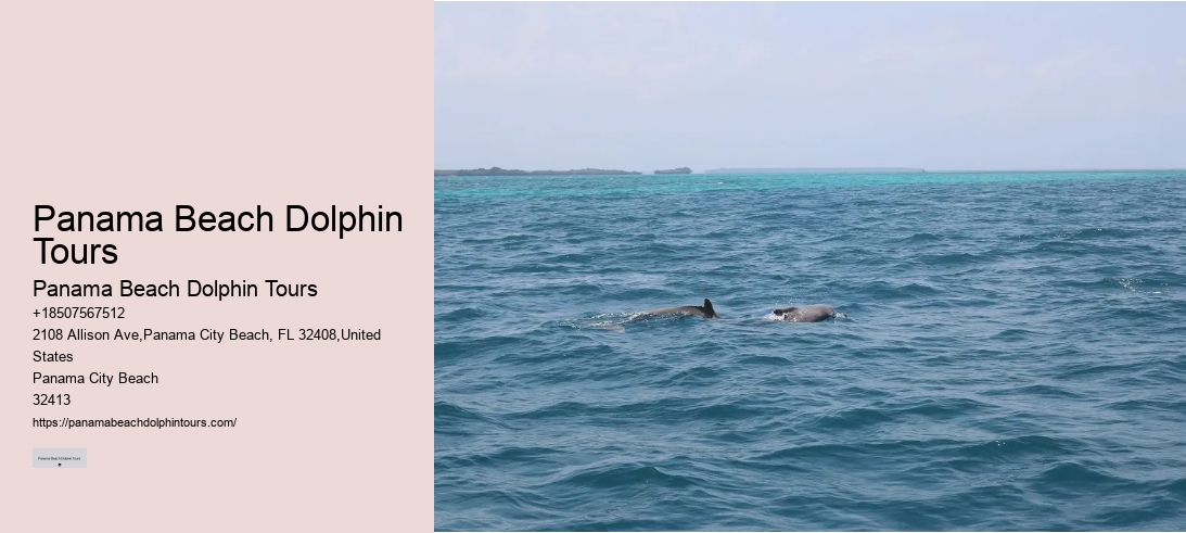 Panama Beach Dolphin Tours