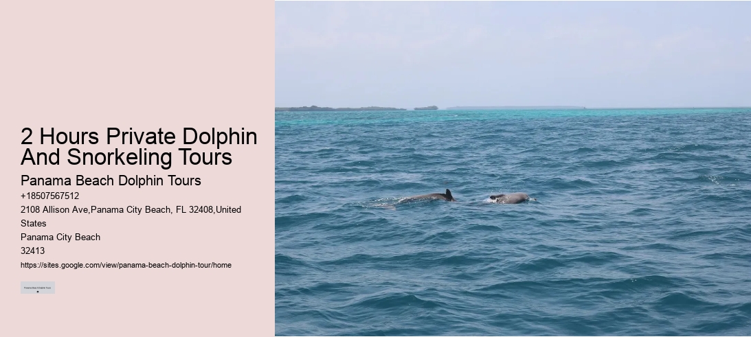 2 Hours Private Dolphin And Snorkeling Tours