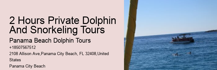 Secluded Dolphin Encounter with Snorkeling