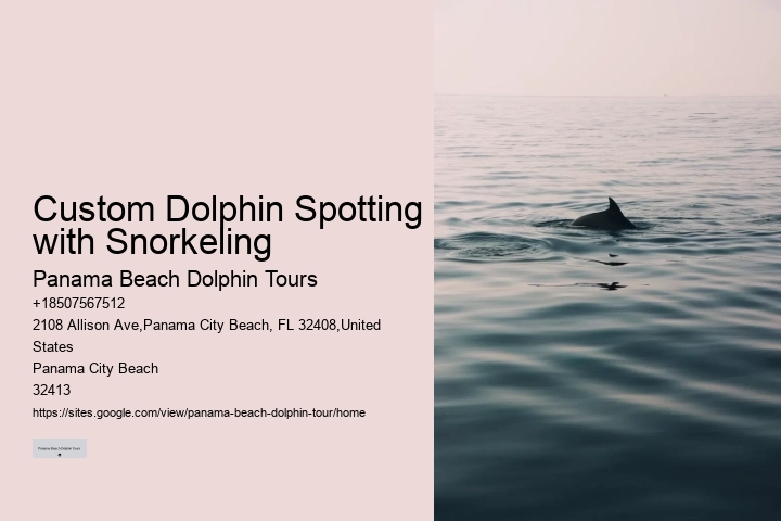 Do You Need To Know How To Swim To Swim With Wild Dolphins