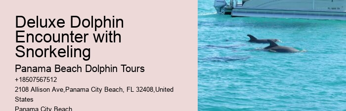 Secluded Dolphin Encounter and Snorkeling Trips