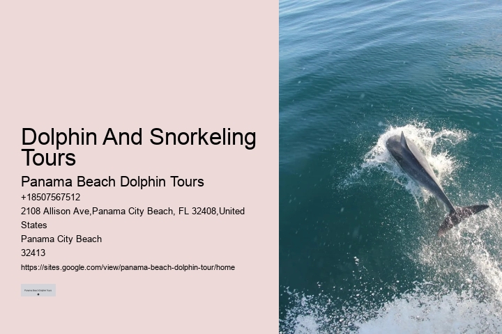 Dolphin Boat Tours Panama City Beach Fl