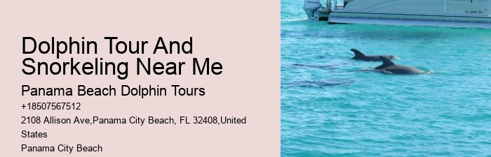 Best Place To See Dolphins In Florida