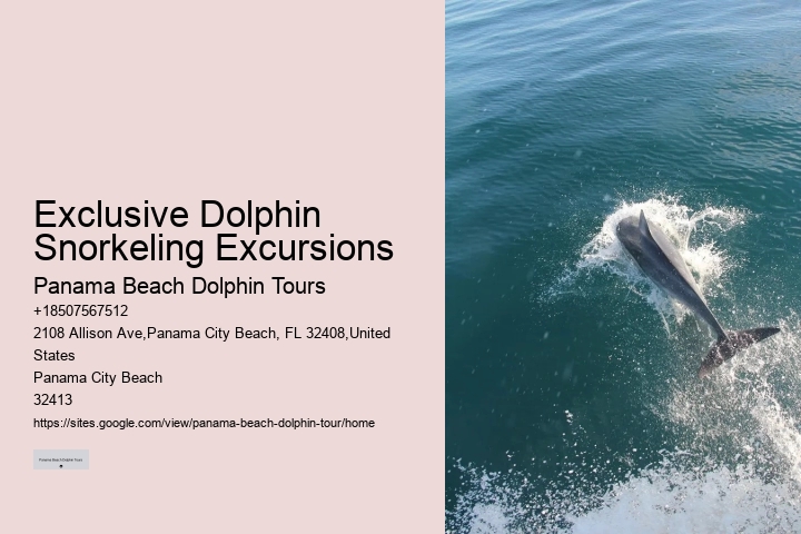 Secluded Dolphin Exploration and Snorkeling